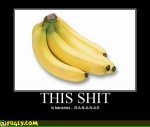 this_shit_is_bananas.jpg